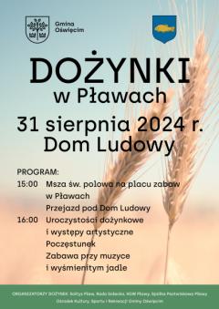 Dożynki sołeckie w Pławach